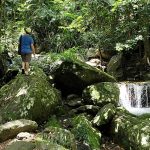 Hiking to Fairy Falls