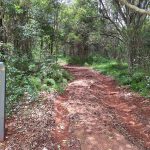 Kingaroy