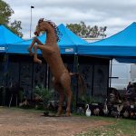 Nanango Markets