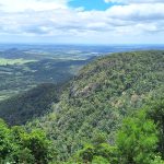 South Burnett - Bunya Mountains National Park