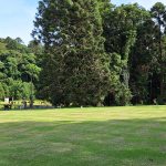 South Burnett - Bunya Mountains National Park
