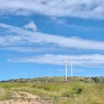 Coopers Gap Wind Farm
