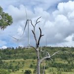 Coopers Gap Wind Farm