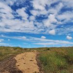 Coopers Gap Wind Farm