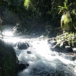 Waterfalls Cairns region