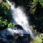 Waterfalls Cairns region