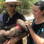 Hartley's Creek Crocodile Farm