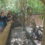 Hartley's Creek Crocodile Farm