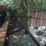 Hartley's Creek Crocodile Farm