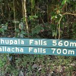 Waterfall hiking