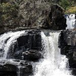 McKenzie Falls