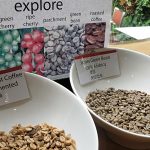 Things to do Exploring Australia