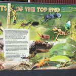 Mareeba Heritage Museum and Visitor Information Centre