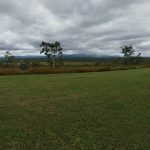 Mareeba