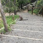 Granite Gorge Nature Park