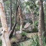 Granite Gorge Nature Park