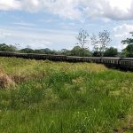 Kuranda Scenic Railway and Sky Rail