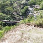 Kuranda Scenic Railway and Sky Rail