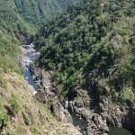 Kuranda Scenic Railway and Sky Rail