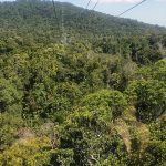 Kuranda Scenic Railway and Sky Rail