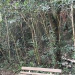 Things to do Exploring Australia