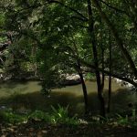 Things to do Exploring Australia