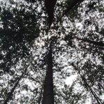 Things to do exploring Australia