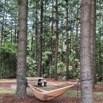 Things to do exploring Australia