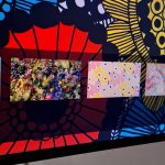 Things to do exploring Australia