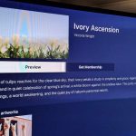 Things to do exploring Australia