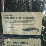 Things to do Exploring Australia