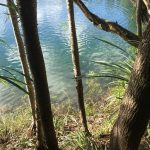 Things to do Exploring Australia