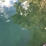 Things to do Exploring Australia