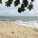 Things to do Exploring Australia