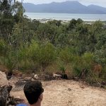 Cardwell lookout