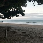 Etty Bay