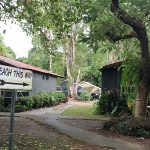 Cape Tribulation