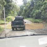 Cape Tribulation