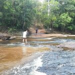 OTT Creek Crossings