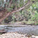 Swimming hole Port Douglas