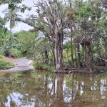 Swimming hole Port Douglas