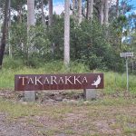 Arriving to the park