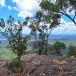 Blackdown Tablelands National Park