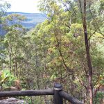 Blackdown Tablelands National Park