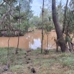Comet Weir and River
