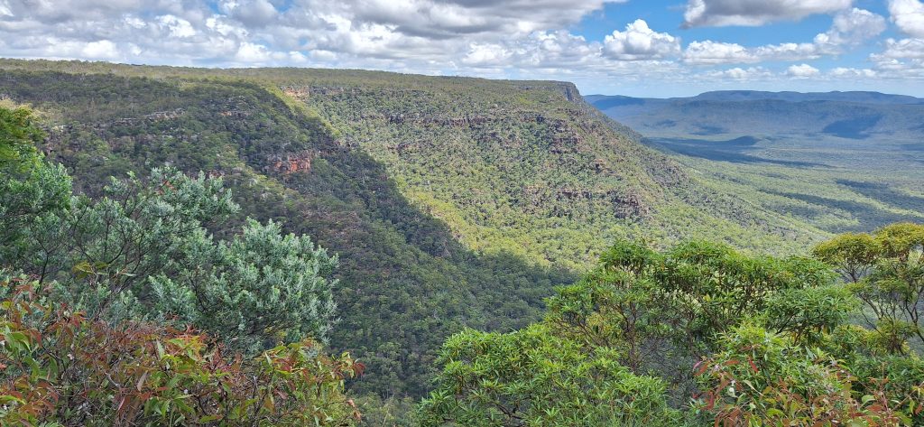 Horseshoe Lookout