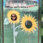 Michael the sunflower