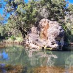 Rock Pool