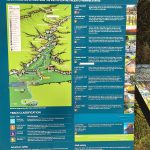 The gorge walking tracks