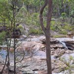 Blackdown Tablelands National Park
